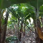 Lägenhet Casa Alto Santo Antonio