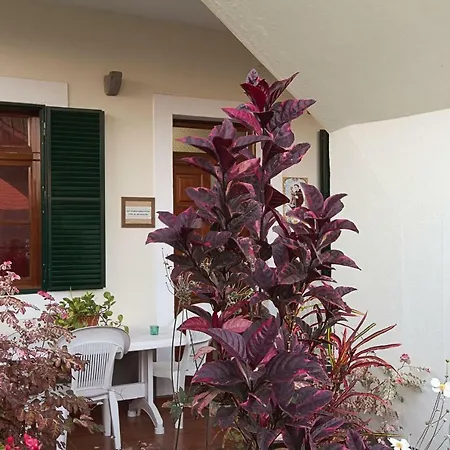 Casa Alto Santo Antonio شقة *