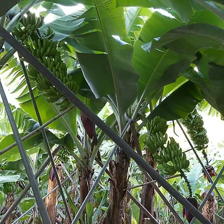 Casa Alto Santo Antonio * بونتا دو سول