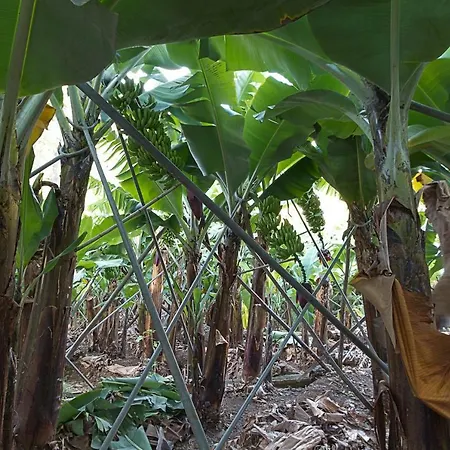 شقة Casa Alto Santo Antonio